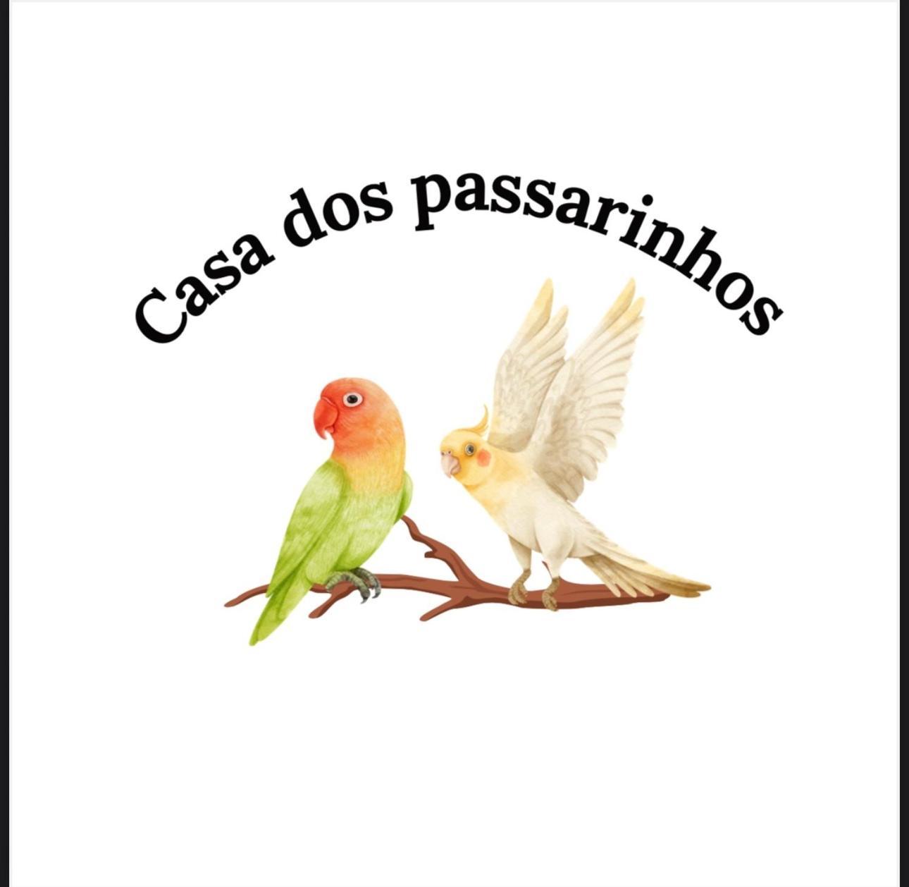 Casa Dos Passarinho'S , Lagos Buitenkant foto